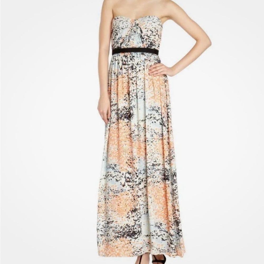 Nwot. Bcbgmaxazria Amber Strapless Floral Print Gown Dress